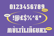 Mestosa - Funky Slab Serif, a Serif Font by Tiptop Graphic (Thumbnail 6 of 10)