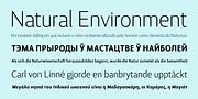 Lisboa Sans, a Sans Serif Font by Vanarchiv (Thumbnail 3 of 4)