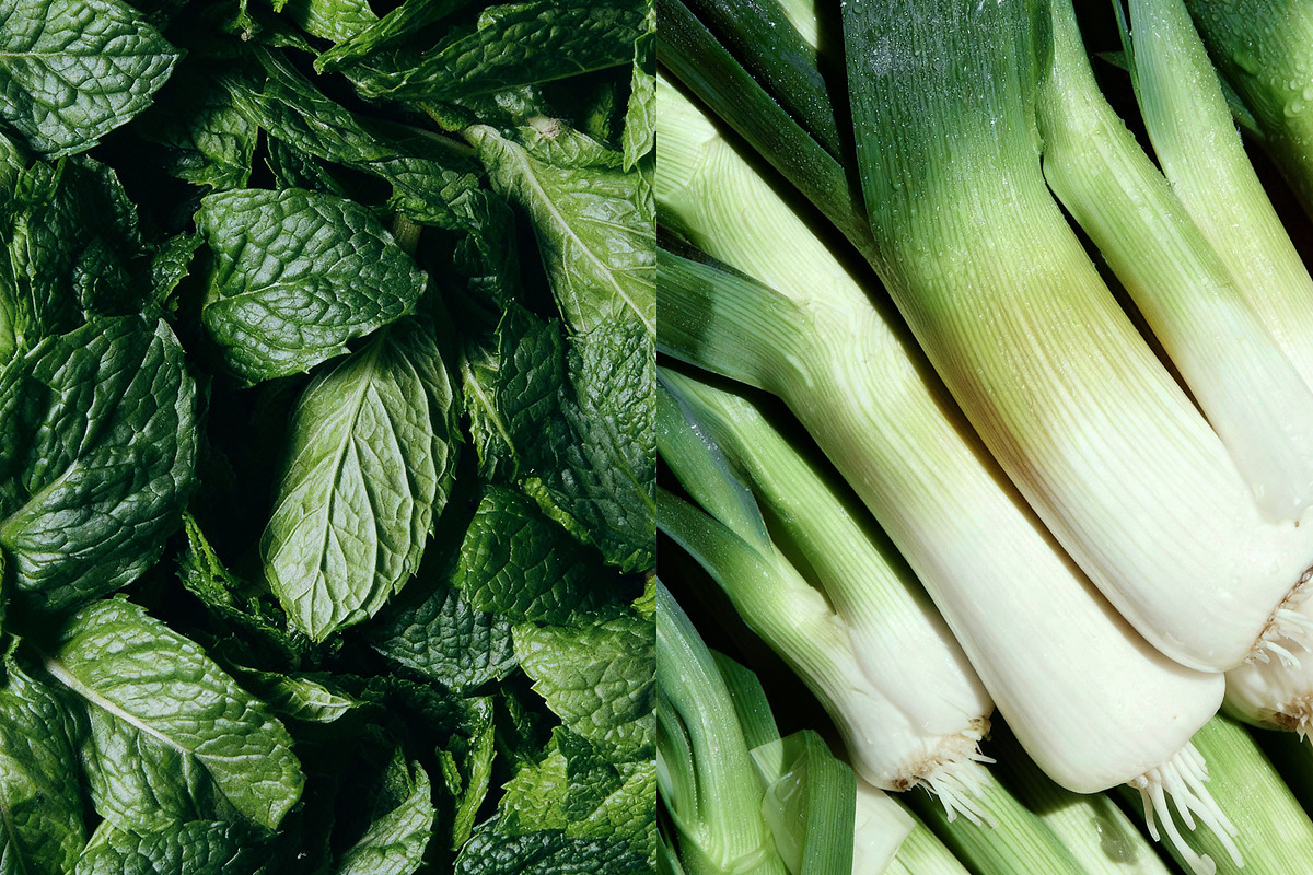 Vegetable Image Collection, a Food & Drink Photo by nkate (Photo 7 of 15)