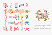 Tropical reef clipart set, a Decorative Illustration by Patishop Art (Thumbnail 8 of 10)