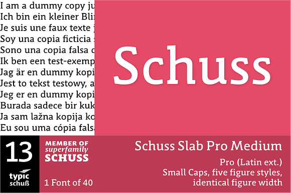 SchussSlabProMedium No.13 (1 Font) preview 6