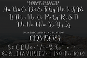Whiskey, a Handwritten Font by FreshTypeINK (Thumbnail 6 of 8)