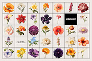 BOOK OF FLOWERS 2 Clipart, an Object Graphic by angelainthefields (Thumbnail 6 of 13)