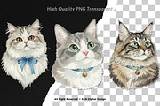 15 Bundle Watercolor Cats Face Flufy, an Animal Illustration by Morspective (Thumbnail 2 of 8)