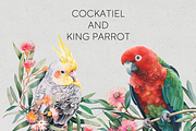 Australian Native Birds Clipart PNG, an Animal Illustration by Pawcasso's Portraits (Thumbnail 5 of 7)