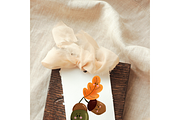 Big Fall Doodles Collection, a Decorative Illustration by Oleksandra Illustrates (Thumbnail 21 of 29)