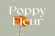 SOMER | modern and elegant serif, a Serif Font by ToniStudio (Thumbnail 4 of 11)