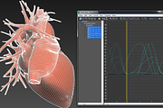 Human heart animated v3, a Characters & Person 3D Model by konstantin.ermolaev (Thumbnail 8 of 8)
