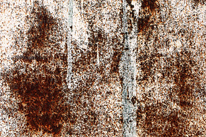 Corrosive steel blade, a Photo by saiko3p