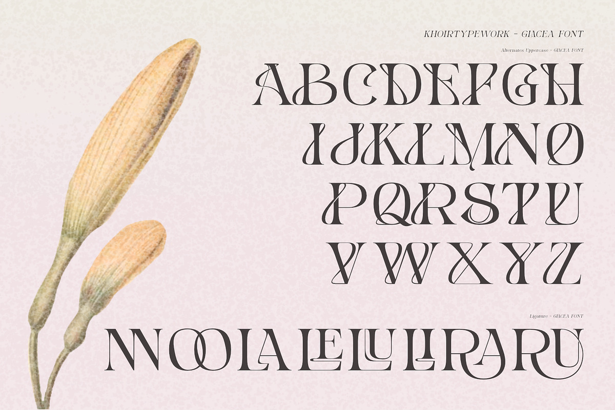GLACEA - Display Font, a Font by Khoir (Photo 9 of 14)