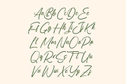 Vibrant Morning Modern Handwritten, a Script Font by Letterena Studios Script (Thumbnail 11 of 15)