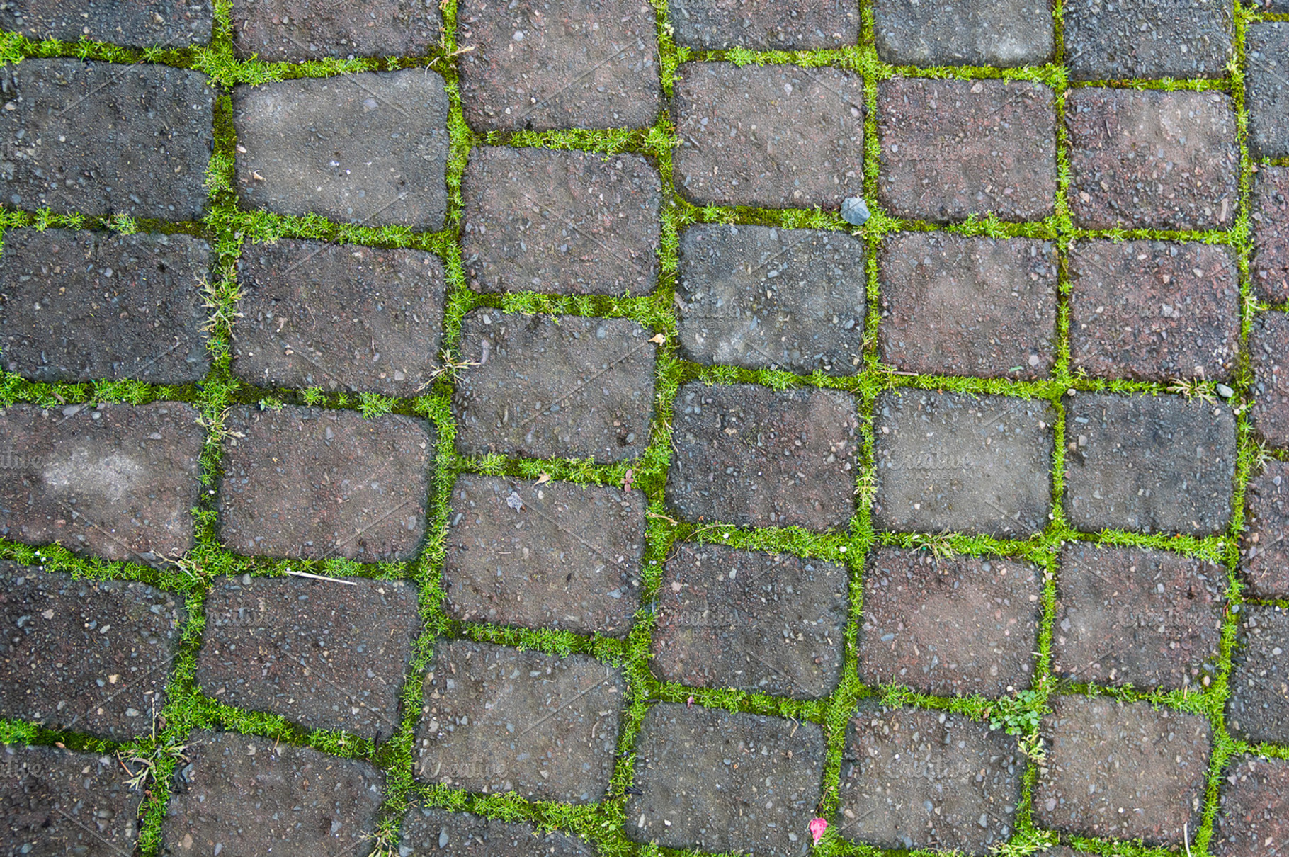 Brick Pathway With Green Moss
