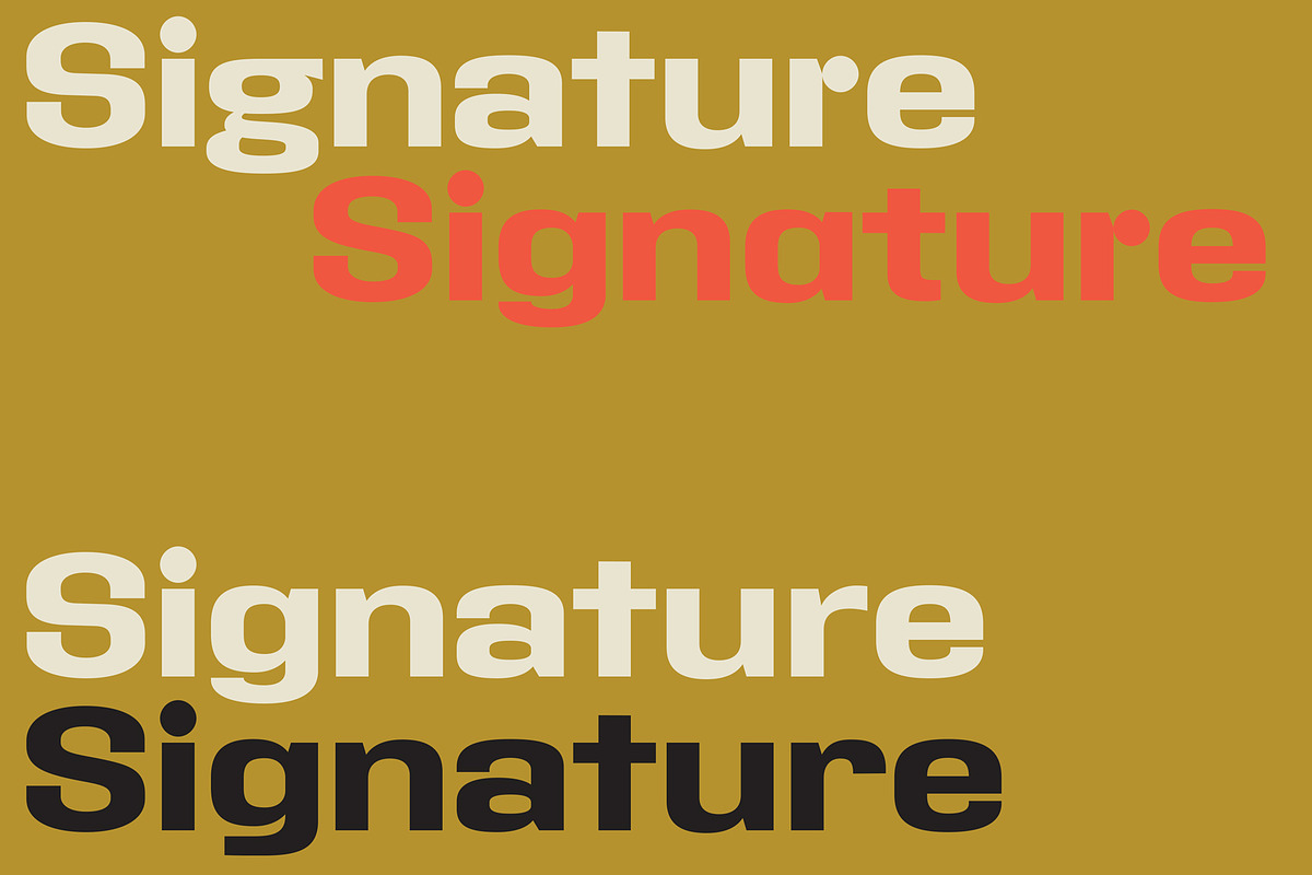 Address Sans, a Sans Serif Font by Sudtipos (Photo 6 of 9)