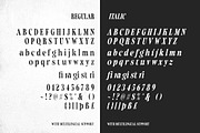 Autograde - Strong Bold Serif, a Serif Font by Sarid Ezra (Thumbnail 9 of 9)