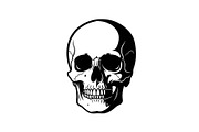 50 Skull Head Silhouette Vector Bund, an Illustration by Creativeshirt (Thumbnail 48 of 51)