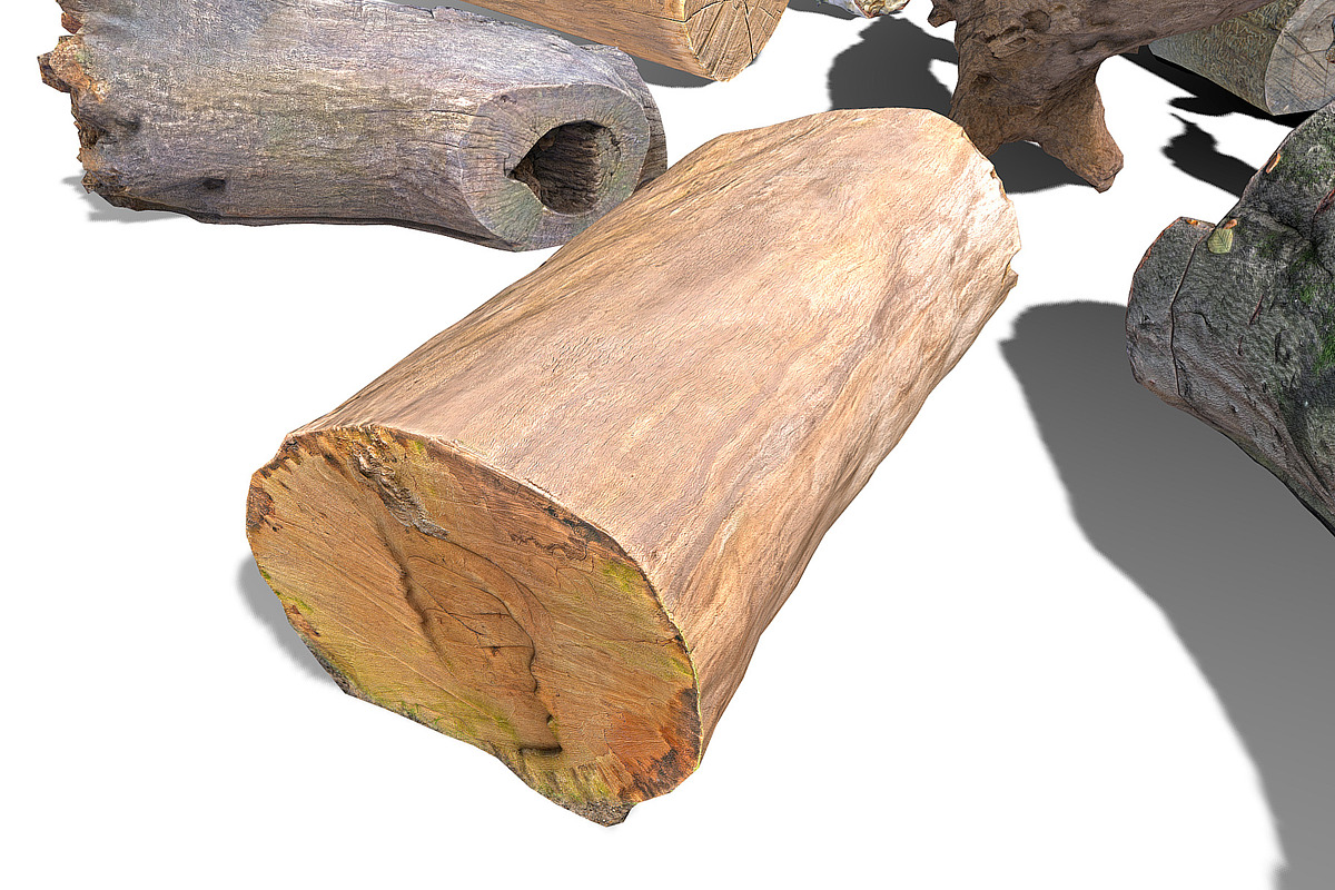 13 Tree Logs, an Environmental 3D Model by Beatheart Creative Studio (Photo 34 of 37)