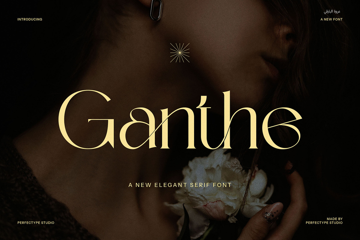 Ganthe Modern Serif Font, a Serif Font by Perfectype (Photo 1 of 7)
