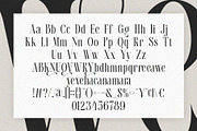 Ravemy || Elegant Classy Serif Font, a Serif Font by Ermedia Studio (Thumbnail 10 of 10)