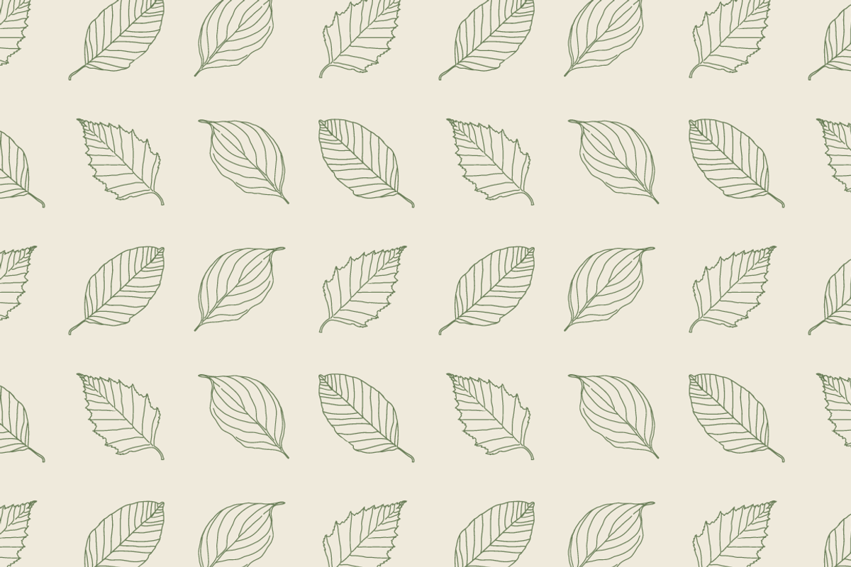 HandDrawn Leaf Library, an Illustration by Linseed Studio (Photo 8 of 9)