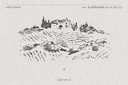 Vineyard drawings, a Decorative Illustration by TheMountBirdStudio (Thumbnail 5 of 8)