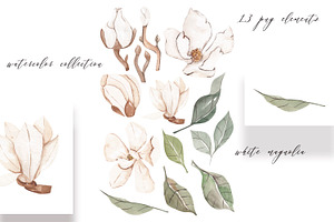 Watercolor White Magnolia