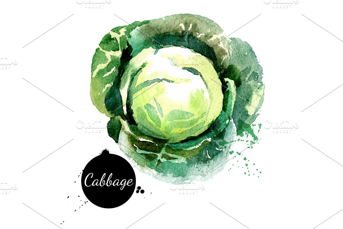 20 Watercolor Vegetables Vector, a Food Illustration by Elena Pimonova (Photo 2 of 5)