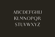 CENTRASONE Vintage Serif Font, a Serif Font by UICreative (Thumbnail 9 of 12)