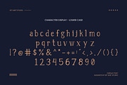 Elegante - Elegant Serif Font, a Slab Serif Font by gitasetstudio (Thumbnail 3 of 6)