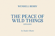 Henrietta Font (Fonts Pairing - Dou), a Serif Font by Studio Okami (Thumbnail 7 of 10)