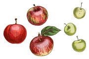 Autumn. New season Illustration Pack, an Object Graphic by Schumacher Shop (Thumbnail 4 of 9)