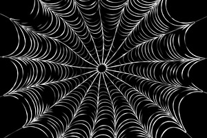 Spider Web Backgrounds