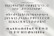 Vagues Elegant Serif, a Serif Font by Creatype Studio (Thumbnail 7 of 10)