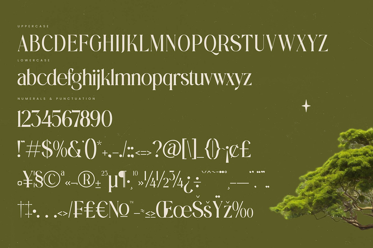 Eternalo Bold Luxury Modern Serif, a Serif Font by timelesstype.co (Photo 18 of 20)