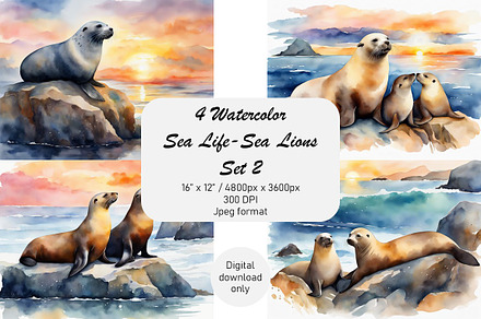 Watercolor Sea Life-Sea Lions, Set 2