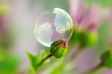 Through The Raindrops preview 6