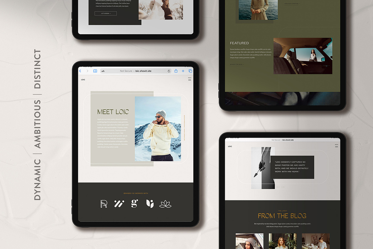 Showit Website Template | Loic, a Websites & App Template by sophieameliadesigns (Photo 4 of 5)