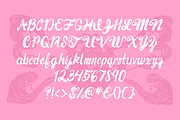 Hyacinth Handmade Brush Font 25% Off, a Script Font by N A T H A N T H O M S O N (Thumbnail 3 of 5)