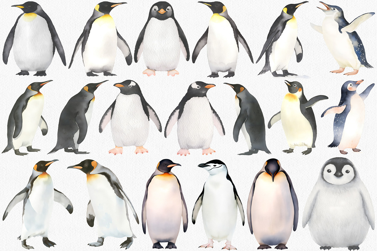 Watercolor Penguin Clipart Set, an Animal Illustration by CropUp Creative (Photo 2 of 4)