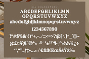 Daylist Beach Retro Serif Font, a Serif Font by Letterena Studios (Thumbnail 13 of 15)