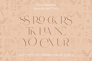SALE! Type Maestro + Quasar font duo, a Serif Font by VP Fonts (Thumbnail 16 of 18)