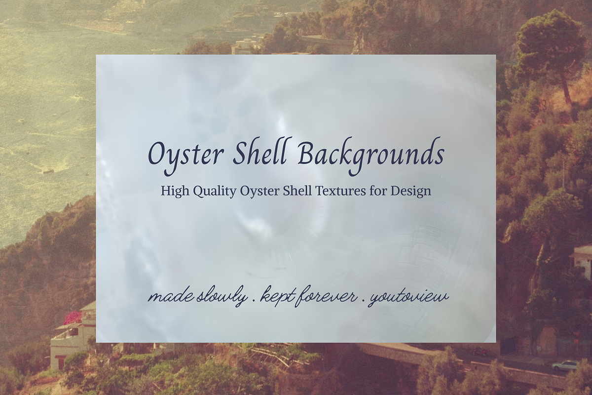 Oyster Shell Textures Backgrounds, a Background Graphic by youtoview (Photo 11 of 12)