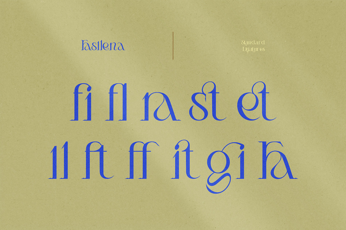 Fasllena - Classic Serif Font, a Serif Font by Eztudio (Photo 12 of 14)