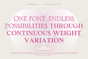 TBJ Pros Vogen Luxury Modern Serif, a Serif Font by Taboja Studio (Thumbnail 6 of 15)