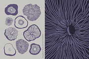 Magnificent Mushrooms, a Food Illustration by Annakniaz (Thumbnail 3 of 15)