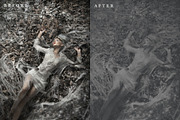 Silver Screen Photoshop Action, an Action Add-On by The Roark Division (Thumbnail 2 of 5)