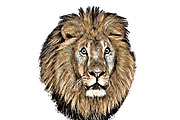 Engraved Art Effect, an Action Add-On by MRI STUDIO (Thumbnail 14 of 15)