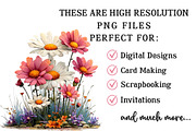 Spring Wildflower Clipart, an Illustration by OK Design (Thumbnail 4 of 6)