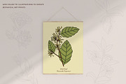 Skin Care Botanicals | 30 designs, a Healthcare Illustration by amber&ink (Thumbnail 7 of 9)