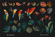 Jungle patterns & elements, a Pattern Graphic by Nadia Grapes (Thumbnail 4 of 6)