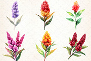 Celosia Flower Clipart, an Illustration by DreamCafeArt (Thumbnail 3 of 9)